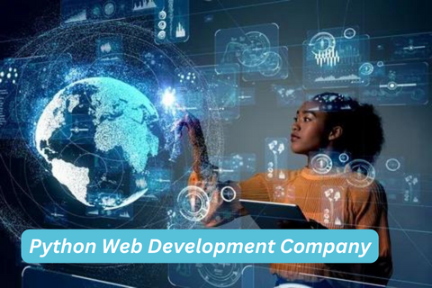 Python Web Development Company