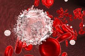 oncologist-in-bangalore-blood-cancer