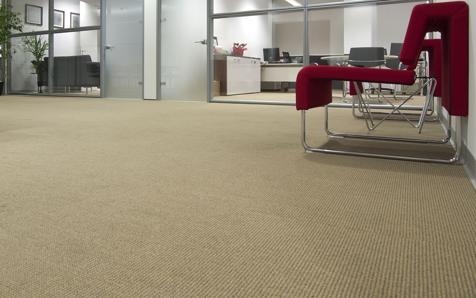 Professional Central London Carpet Cleaning