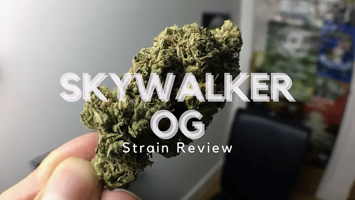 Skywalker OG strain 