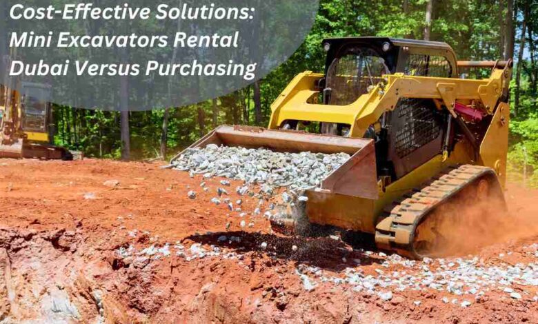 Cost-Effective Solutions: Mini Excavators Rental Dubai Versus Purchasing