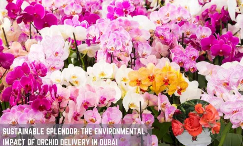 Sustainable Splendor: The Environmental Impact of Orchid Delivery in Dubai