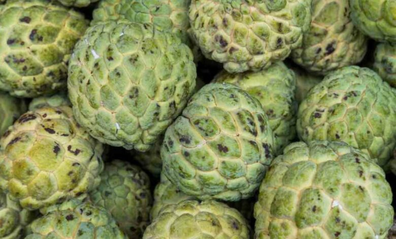 Cherimoya Has Surprising Health Benefits