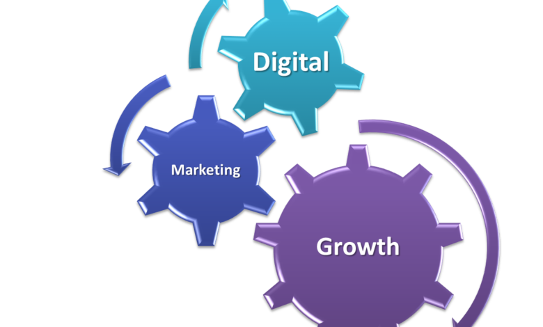 Digital Marketing Plan WingsMyPost