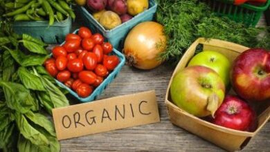 "Delving Benefits in 4 Way : Why Organic is the Ultimate Choice"