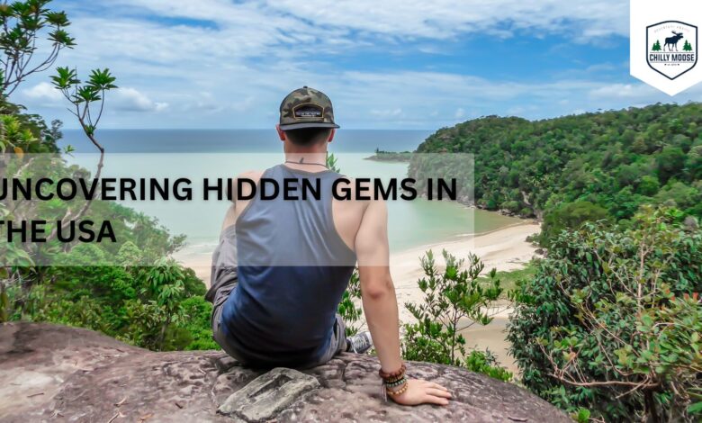 Uncovering Hidden Gems in the USA
