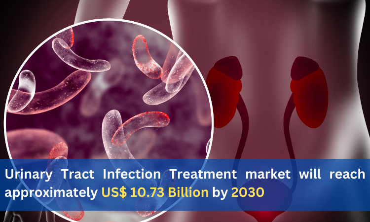 Urinary Tract Infection Treatment market will reach approximately US 10.73 Billion by 2030 WingsMyPost