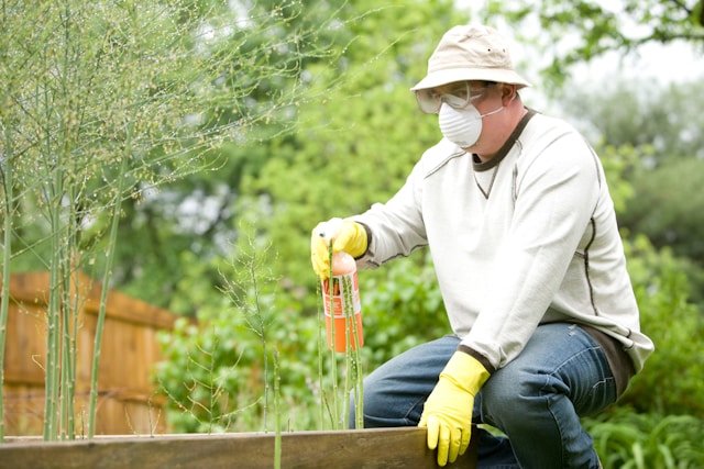 soil contamination