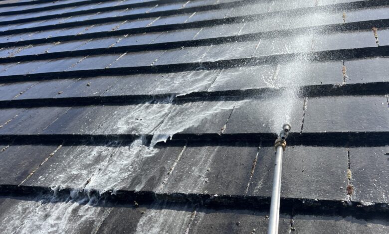 Revitalize Your Home with Experet Roof Cleaning Services in Portland and Salem