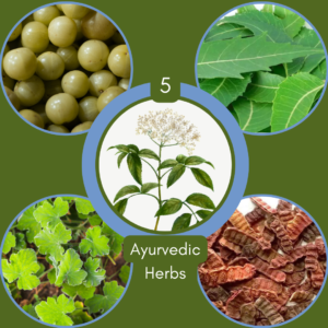 Ayurvedic herbs for hair loss
