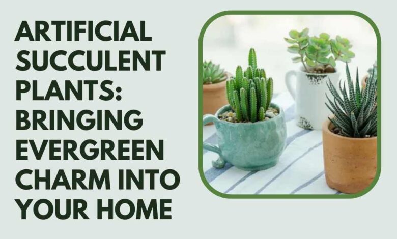 Artificial Succulent Plants Bringing Evergreen Charm into Your Home