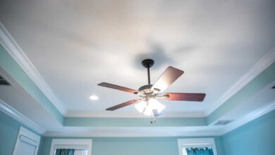Ceiling Fans with light