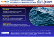 Global Seawater and Brackish Water Desalination Chemicals Market