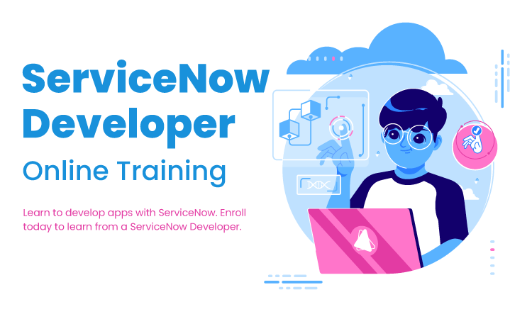 ServiceNow Developer