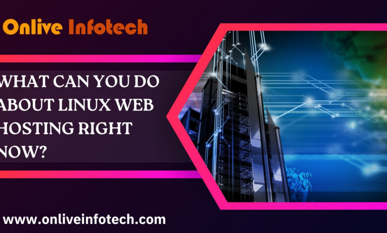 What Can You Do About Linux Web Hosting Right Now