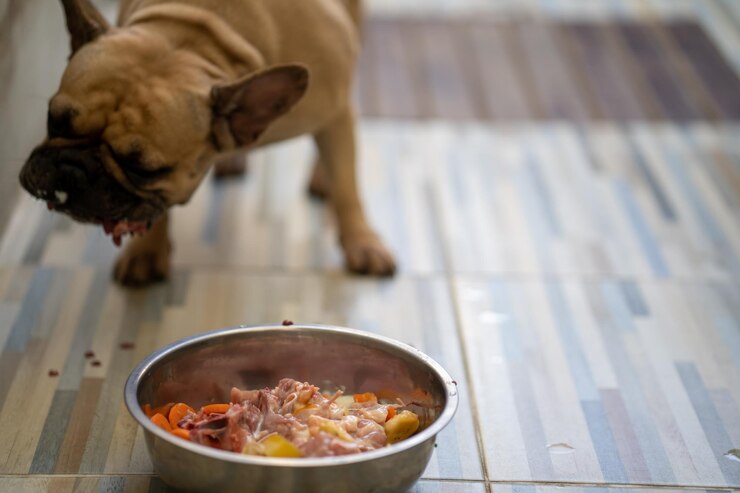 best raw meat for dogs