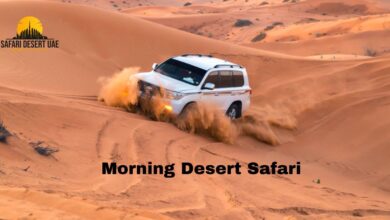 morning desert safari 1 WingsMyPost