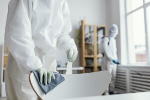 mold removal services in Panama City