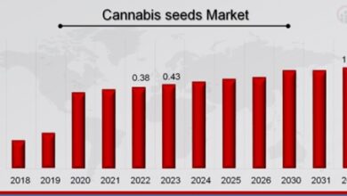 Cannabis Seeds Market Overview 1 WingsMyPost