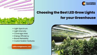 best LED grow lights