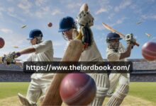 Online cricket ID provider, cricket account registration, Indian cricket ID services,