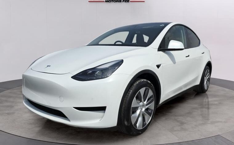 TESLA MODEL Y WHITE 2022