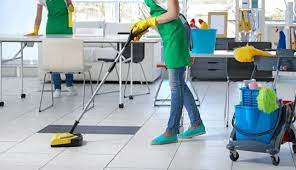 cleaning Company mount joy