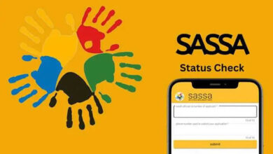 sassa status | Sassa Status Check | sassa details