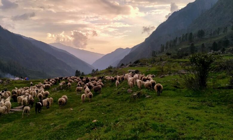 har ki dun trek