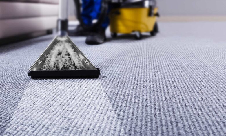 Feature professional carpet cleaning vs diy WingsMyPost