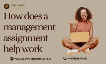 How does a management assignment help work
