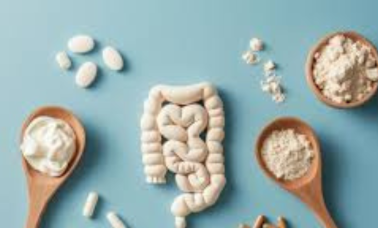 The Science Behind Probiotics for SIBO and IBS Management