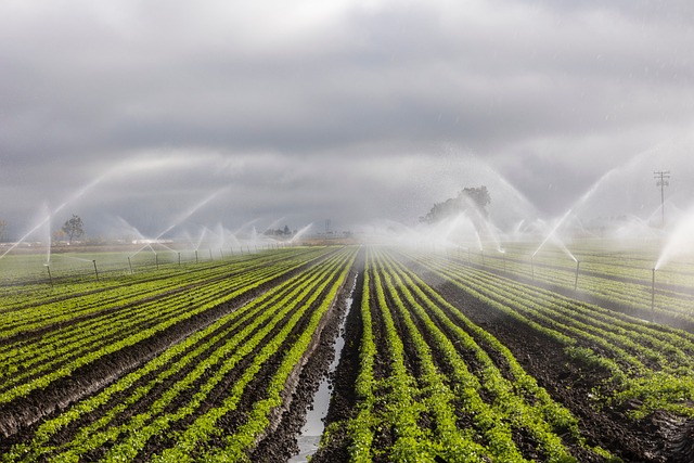 micro irrigation system WingsMyPost