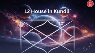 12 House in Kundli