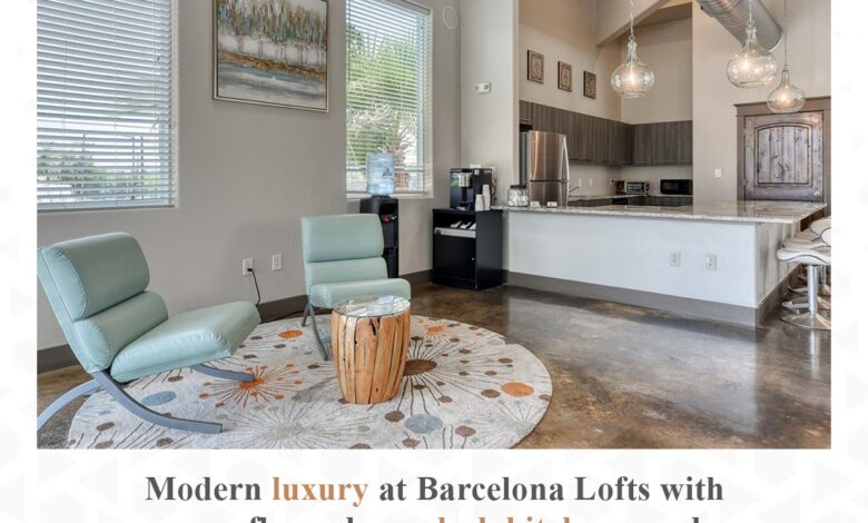 Barcelona Luxury Apartment new pic WingsMyPost