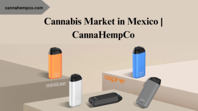 Cannabis Market in Mexico