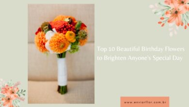Top 10 Beautiful Birthday Flowers to Brighten Anyone's Special Day