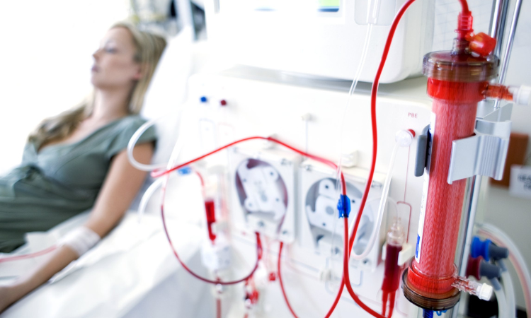 Global Dialysis Market Size Forecast 2023 2028 Industry Trends Growth Share Outlook Impact of Inflation Opportunity Company Analysis WingsMyPost