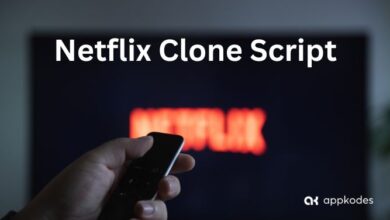 Netflix Clone Script WingsMyPost