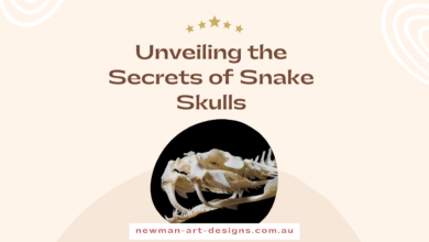 Unveiling the Secrets of Snake Skulls WingsMyPost