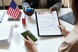 Why Use Professionals for Visa Applications?