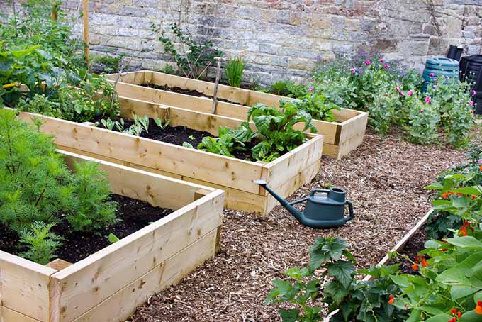 What Are the Benefits of Raised Bed Gardening for Beginners?