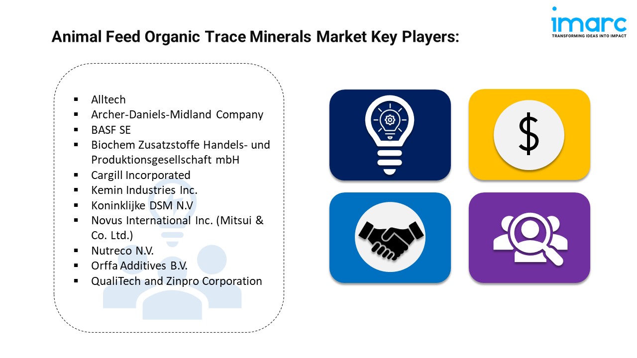 Animal Feed Organic Trace Minerals Market 1 1 WingsMyPost