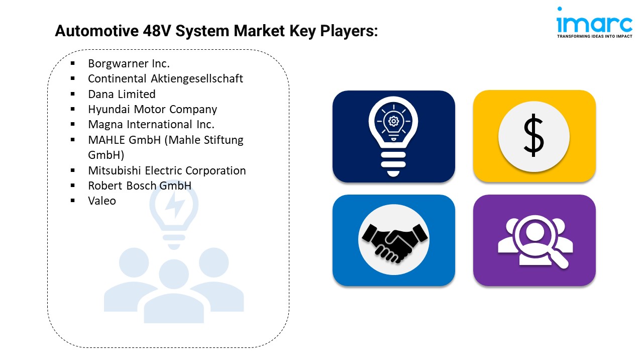 Automotive 48V System Market Key Players