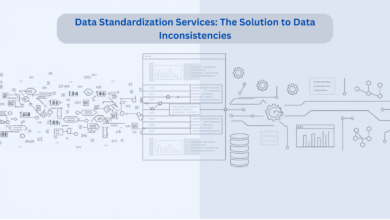 Data Standardization Services