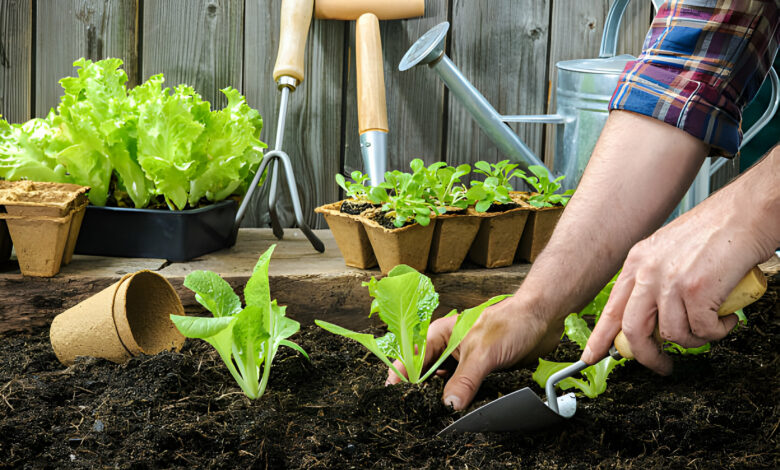 gardener