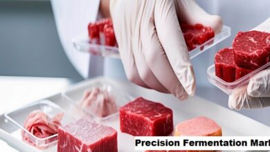 Global Precision Fermentation Market