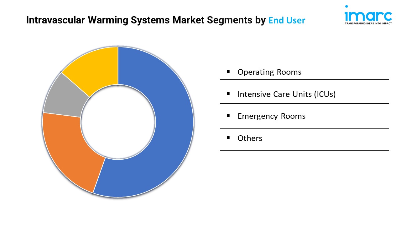 Intravascular Warming Systems Market Segments by End User