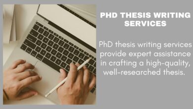 PhD Thesis Writing Services