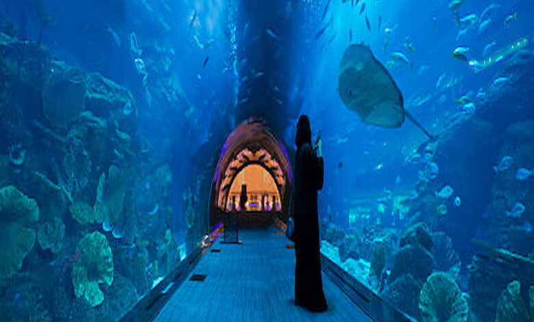 Dubai Mall Aquarium